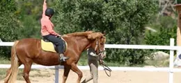 Activitats culturals, d'oci i esportives