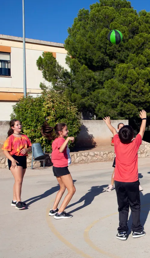 Educació Primària